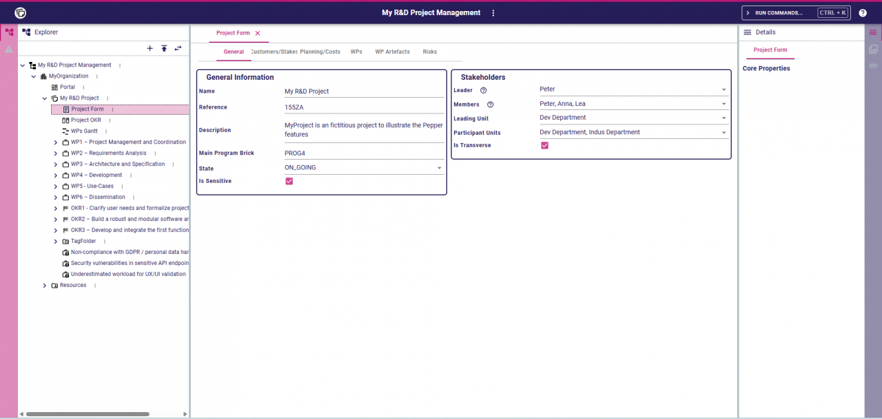 A Form View to edit projects details